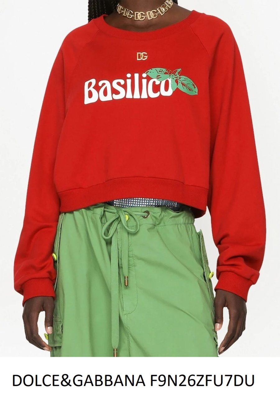 Dolce & Gabbana Dolce & Gabbana Sweatshirt F9N26ZFU7DU — 2