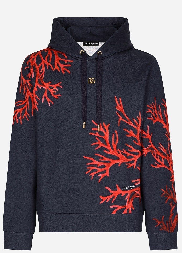 Dolce & Gabbana Floral Print Hoodie — Navy