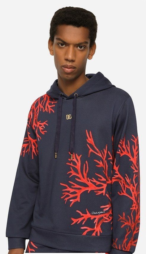 Dolce & Gabbana Floral Print Hoodie — Navy — 5