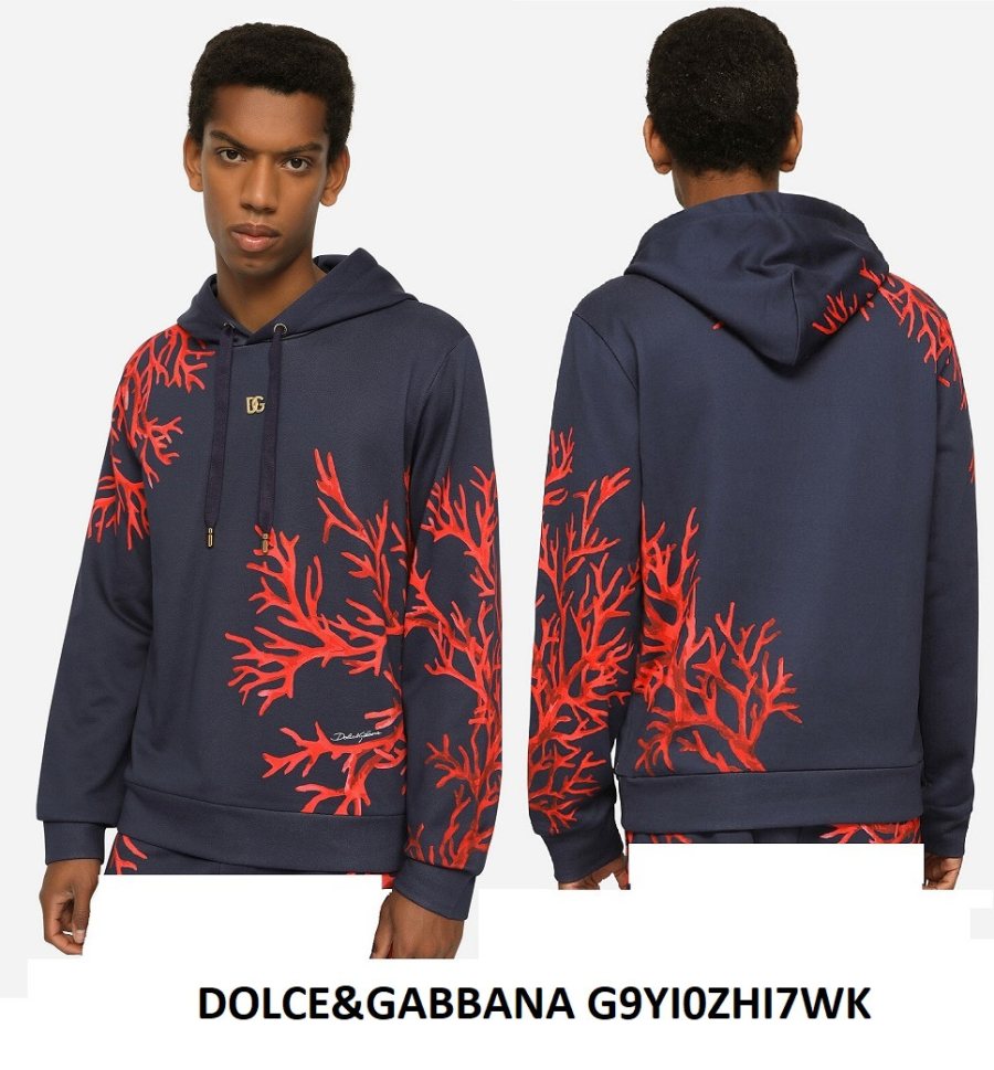 Dolce & Gabbana Floral Print Hoodie — Navy — 4